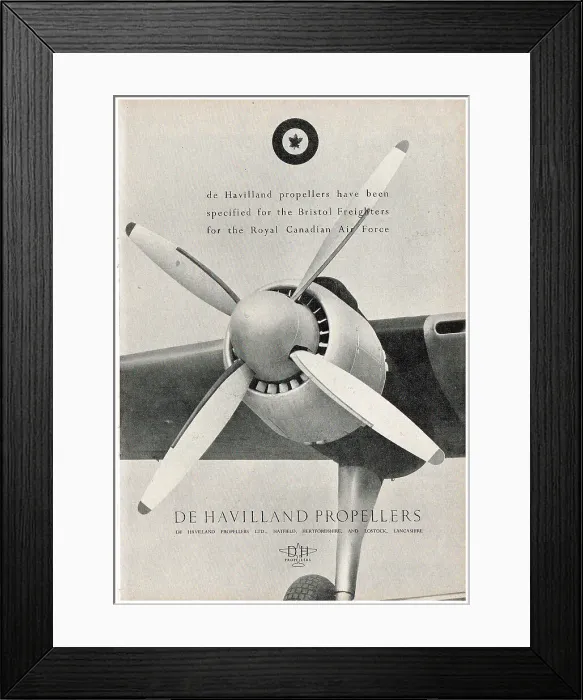 Framed Print : 13856835 Framed Print : 13856835