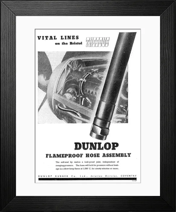Framed Print : 13857749 Framed Print : 13857749