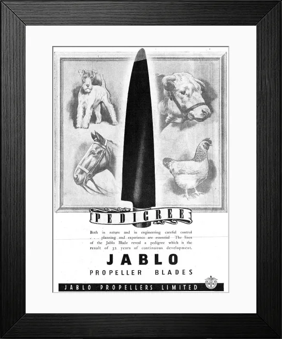 Framed Print : 13860805 Framed Print : 13860805