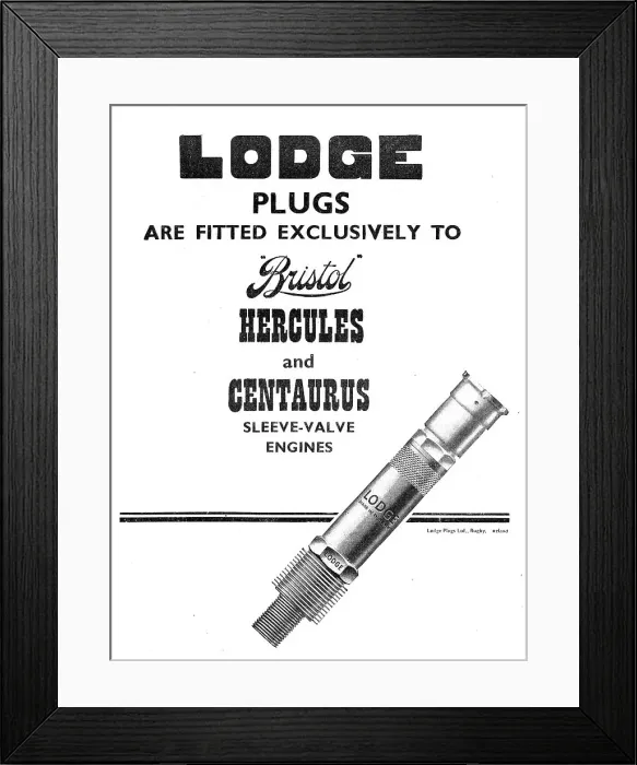 Framed Print : 13861514 Framed Print : 13861514