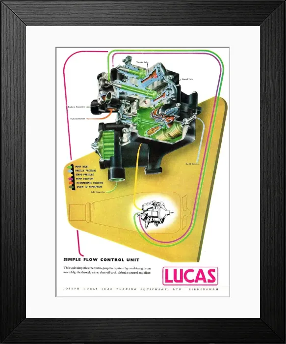 Framed Print : 13861600 Framed Print : 13861600