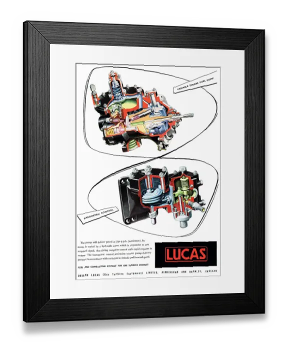 Framed Print : 13861603