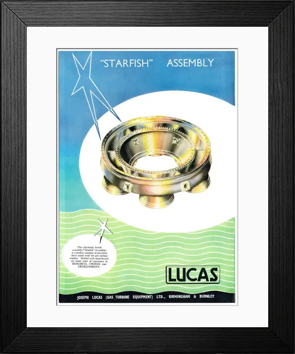 Framed Print : 13861604 Framed Print : 13861604