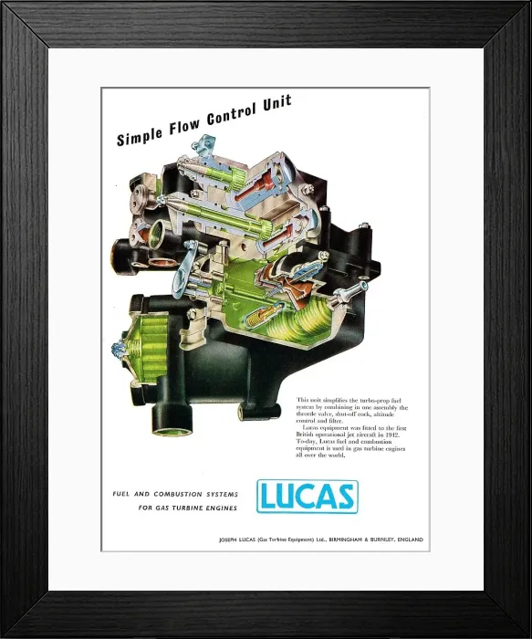 Framed Print : 13861617 Framed Print : 13861617