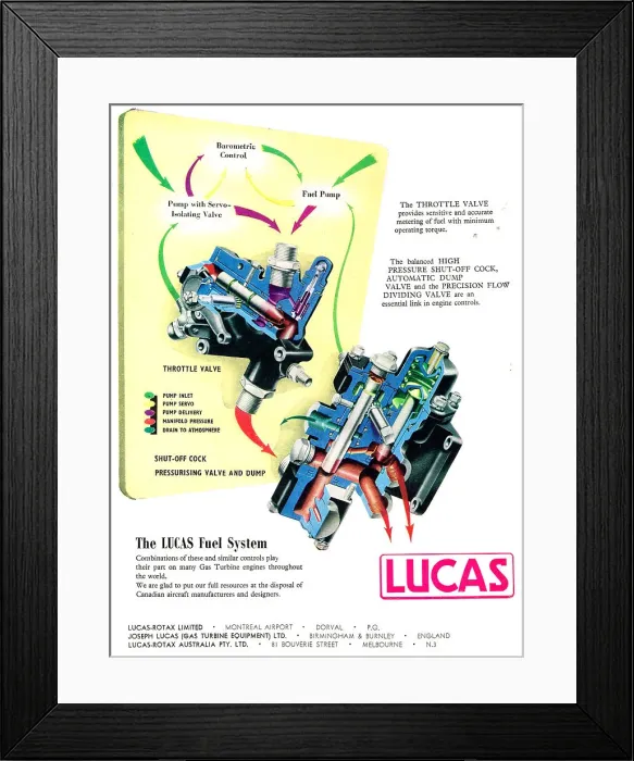 Framed Print : 13861635 Framed Print : 13861635