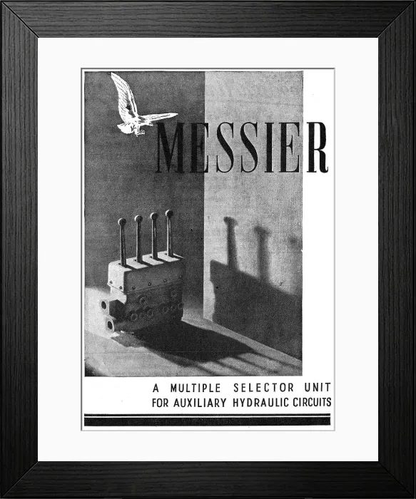Framed Print : 13862014