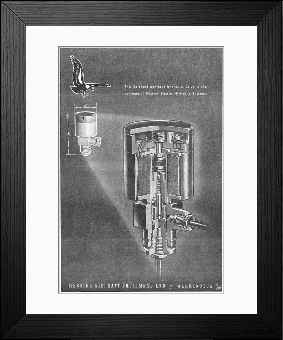 Framed Print : 13862027 Framed Print : 13862027