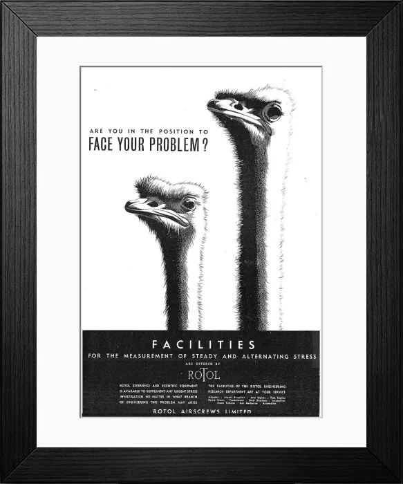 Framed Print : 13863835 Framed Print : 13863835