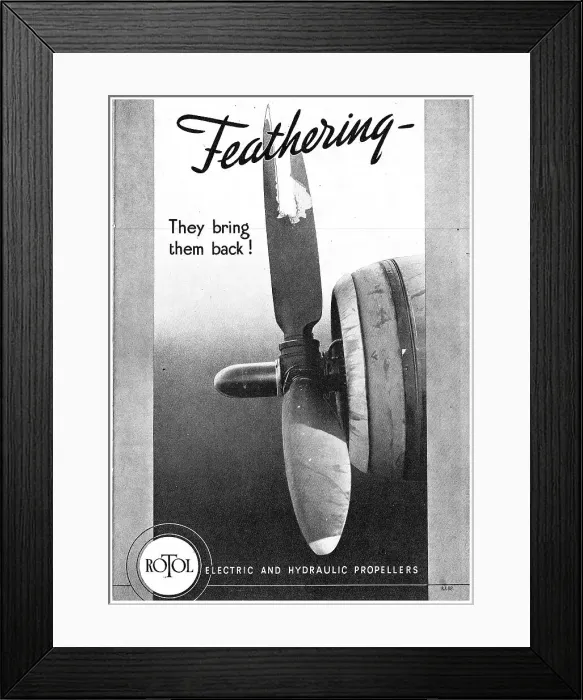 Framed Print : 13863841 Framed Print : 13863841