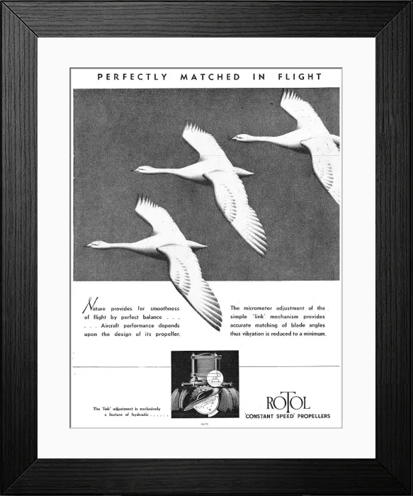 Framed Print : 13863854 Framed Print : 13863854