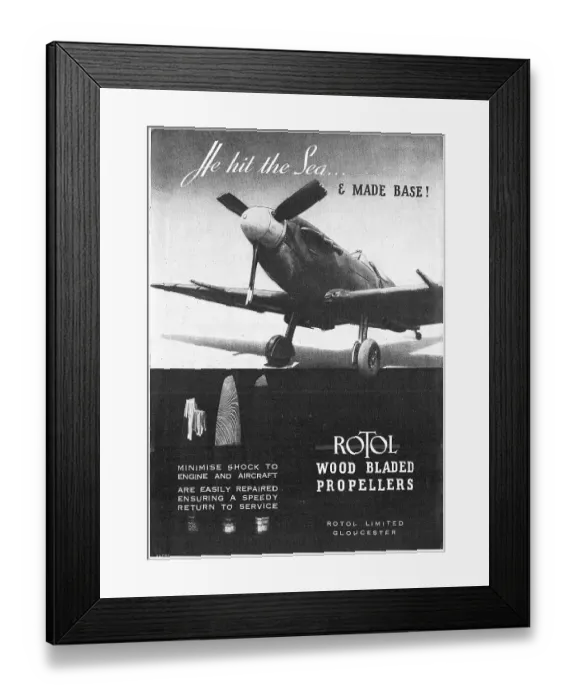 Framed Print : 13863911