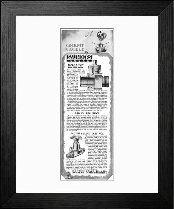 Framed Print : 13864326 Framed Print : 13864326