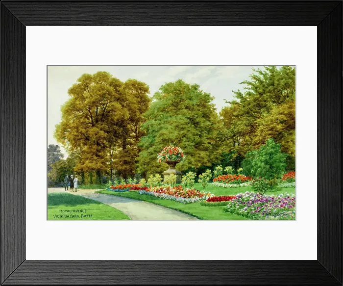 Framed Print : Royal Avenue, Victoria Park, Bath, Somerset Framed Print : Royal Avenue, Victoria Park, Bath, Somerset