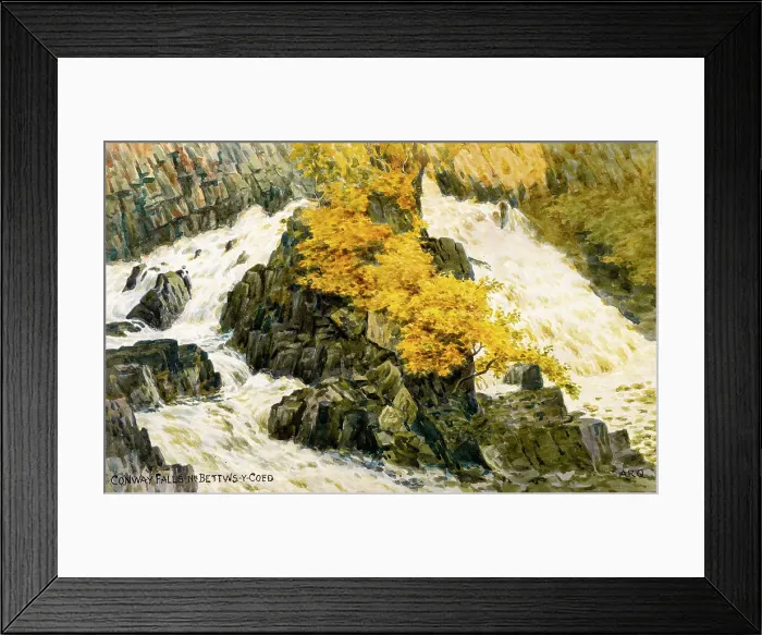 Framed Print : Conway Falls, near Betws y Coed, Conwy, Wales Framed Print : Conway Falls, near Betws y Coed, Conwy, Wales