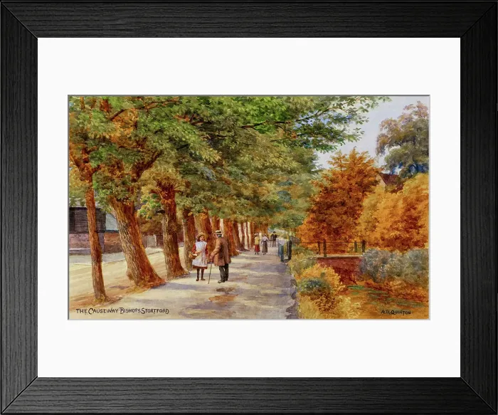 Framed Print : The Causeway, Bishop's Stortford, Hertfordshire Framed Print : The Causeway, Bishop's Stortford, Hertfordshire