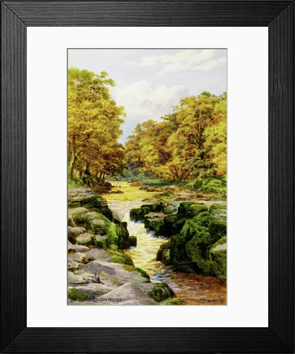 Framed Print : The Strid, Bolton Woods, Wharfedale, North Yorkshire Framed Print : The Strid, Bolton Woods, Wharfedale, North Yorkshire