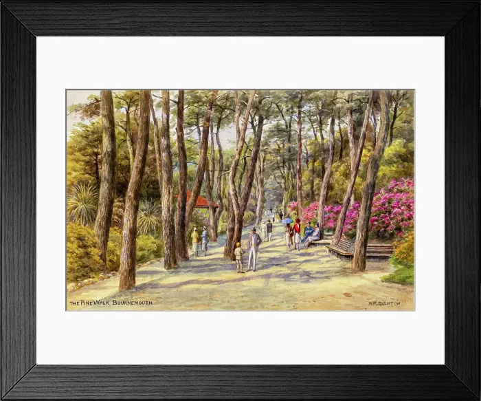 Framed Print : Pine Walk, Bournemouth, Dorset Framed Print : Pine Walk, Bournemouth, Dorset