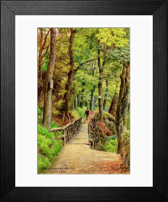 Framed Print : Pwllycrochan Woods, Colwyn Bay, Clwyd, North Wales Framed Print : Pwllycrochan Woods, Colwyn Bay, Clwyd, North Wales