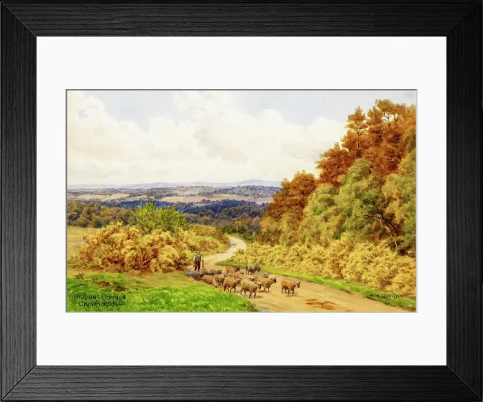 Framed Print : St John's Common, Crowborough, East Sussex Framed Print : St John's Common, Crowborough, East Sussex