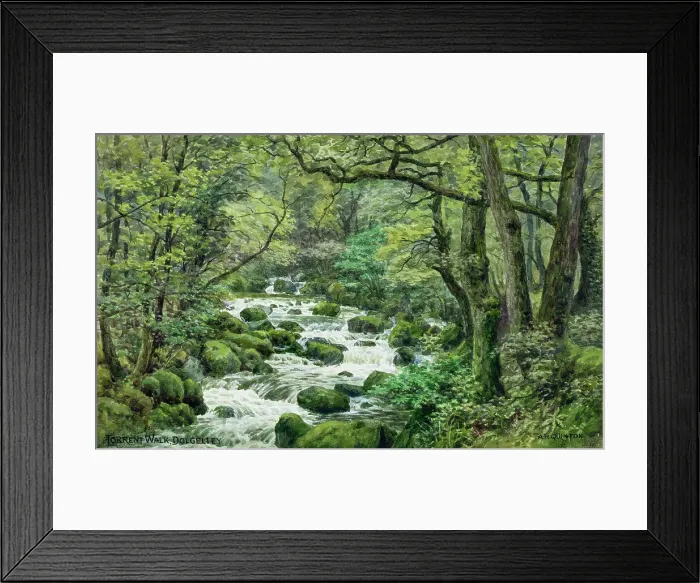 Framed Print : Torrent Walk, Dolgellau, Gwynedd, NW Wales Framed Print : Torrent Walk, Dolgellau, Gwynedd, NW Wales