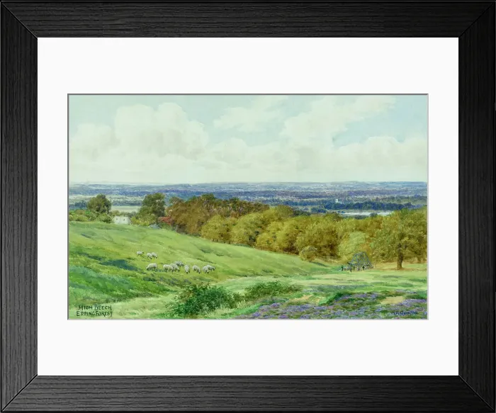 Framed Print : High Beech, Epping Forest, Essex Framed Print : High Beech, Epping Forest, Essex