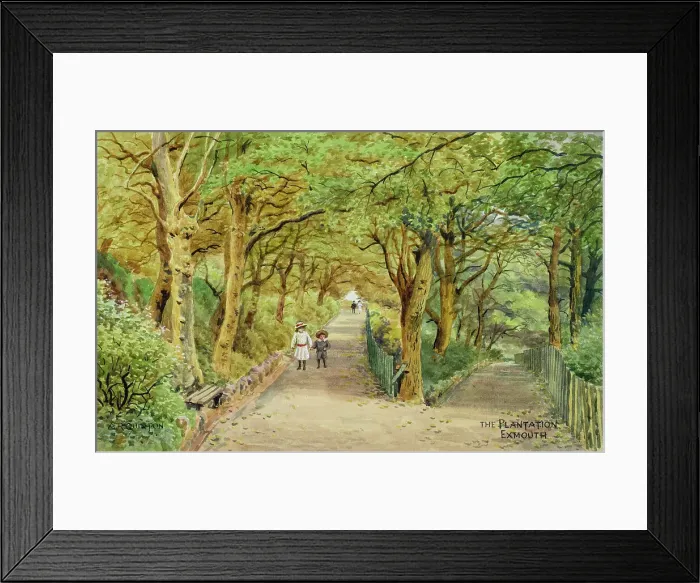 Framed Print : The Plantation, Exmouth, Devon Framed Print : The Plantation, Exmouth, Devon