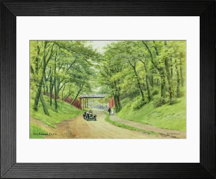Framed Print : The Ravine, Filey, North Yorkshire Framed Print : The Ravine, Filey, North Yorkshire