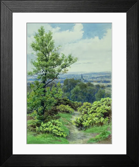Framed Print : Hampstead Heath, London Framed Print : Hampstead Heath, London