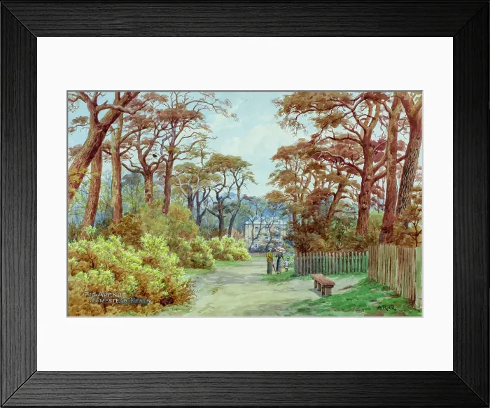 Framed Print : The Avenue, Hampstead Heath, London Framed Print : The Avenue, Hampstead Heath, London