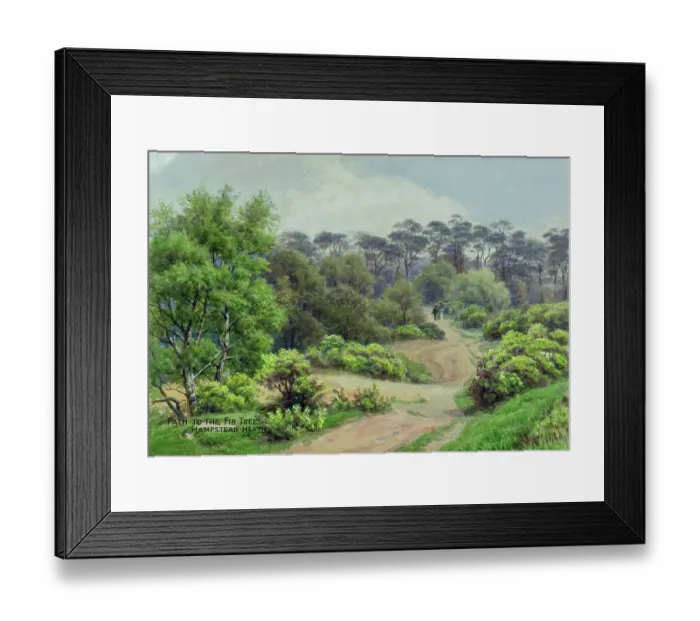 Framed Print : Path to the fir trees, Hampstead Heath, London Framed Print : Path to the fir trees, Hampstead Heath, London