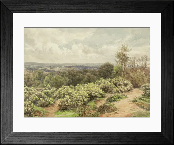 Framed Print : Hampstead, London
