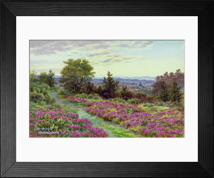 Framed Print : The Moor, Harrogate, North Yorkshire Framed Print : The Moor, Harrogate, North Yorkshire