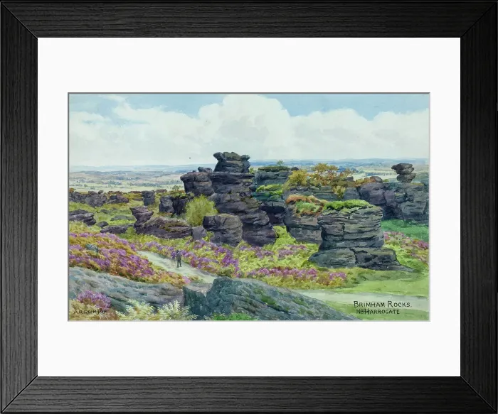 Framed Print : Brimham Rocks, near Harrogate, North Yorkshire Framed Print : Brimham Rocks, near Harrogate, North Yorkshire