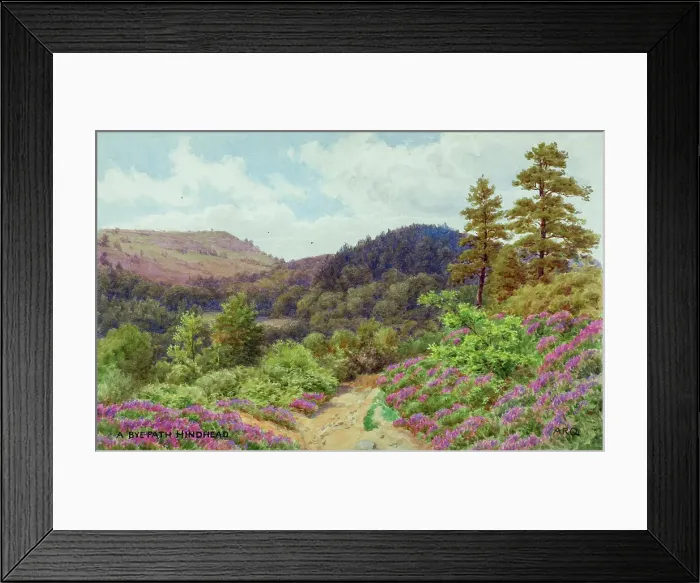 Framed Print : Rural pathway, Hindhead, Surrey Framed Print : Rural pathway, Hindhead, Surrey