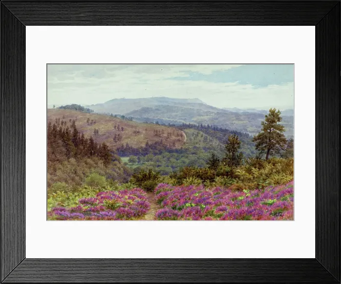 Framed Print : Rural scenery, Hindhead, Surrey Framed Print : Rural scenery, Hindhead, Surrey