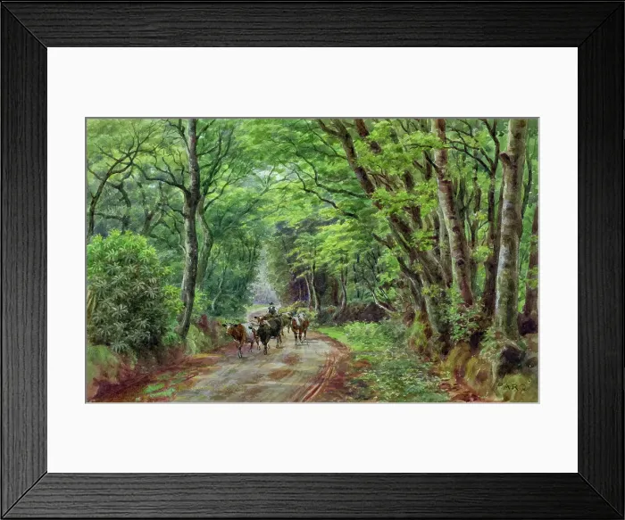 Framed Print : Rural scene with cattle, Hindhead, Surrey Framed Print : Rural scene with cattle, Hindhead, Surrey