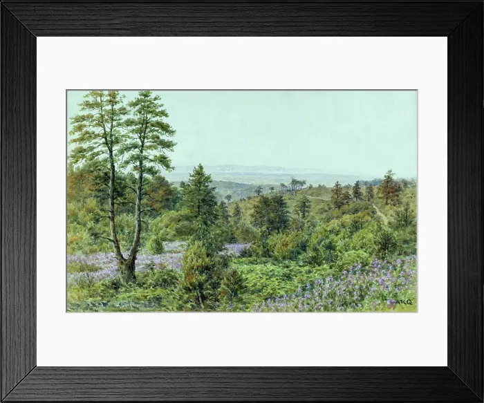 Framed Print : Rural scene, Hindhead, Surrey Framed Print : Rural scene, Hindhead, Surrey