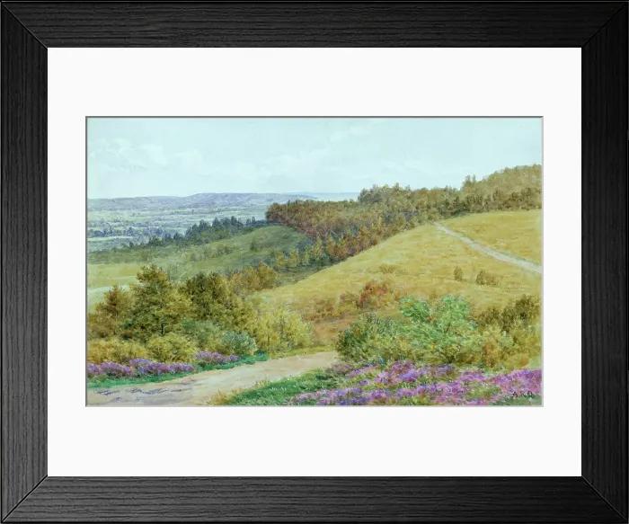 Framed Print : Rural scene, Hindhead, Surrey Framed Print : Rural scene, Hindhead, Surrey