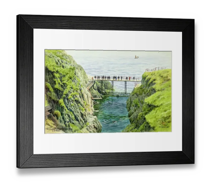 Framed Print : Sea Lions, Groudle Glen, Isle of Man Framed Print : Sea Lions, Groudle Glen, Isle of Man