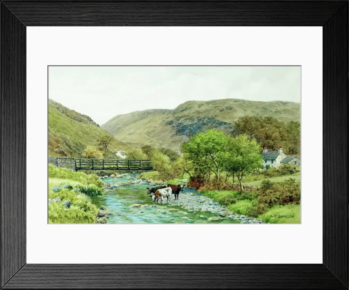 Framed Print : Rural scene, Isle of Man