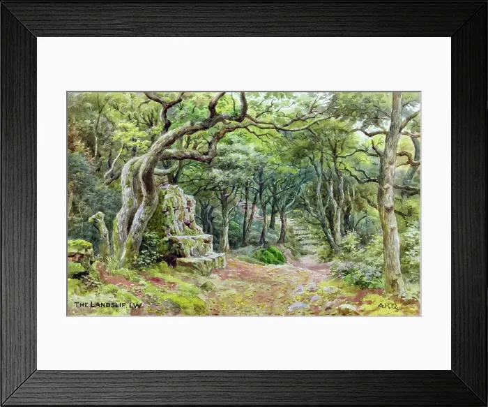 Framed Print : The Landslip, Shanklin, Isle of Wight Framed Print : The Landslip, Shanklin, Isle of Wight