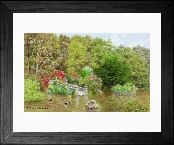 Framed Print : Bonchurch Pond, Isle of Wight Framed Print : Bonchurch Pond, Isle of Wight