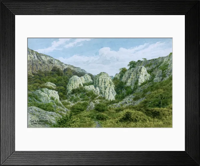 Framed Print : The Landslip, Lyme Regis, Dorset Framed Print : The Landslip, Lyme Regis, Dorset