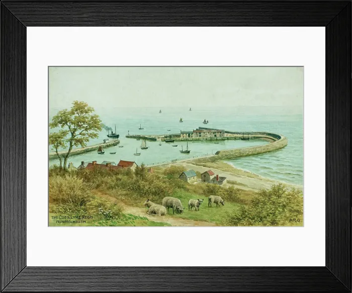 Framed Print : The Cobb, Lyme Regis, Dorset, viewed from Holmbush Framed Print : The Cobb, Lyme Regis, Dorset, viewed from Holmbush