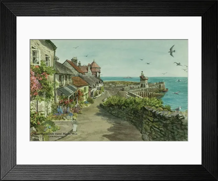 Framed Print : Harbour from Mars Hill, Lynmouth, Devon Framed Print : Harbour from Mars Hill, Lynmouth, Devon