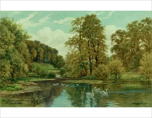 Mill Pond, Loose Valley, near Maidstone, Kent