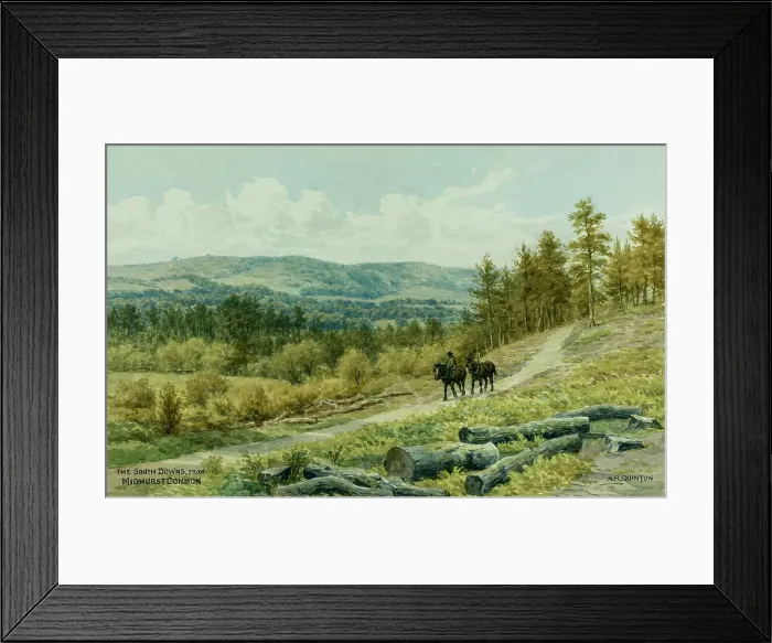 Framed Print : South Downs from Midhurst Common, Sussex Framed Print : South Downs from Midhurst Common, Sussex