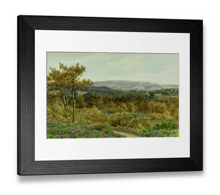 Framed Print : The Common, Midhurst, Sussex Framed Print : The Common, Midhurst, Sussex