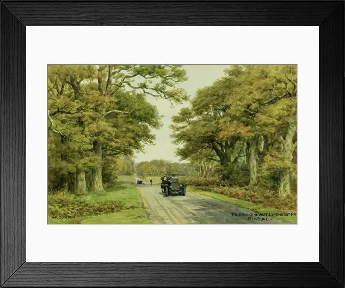 Framed Print : Brockenhurst to Lyndhurst road, New Forest, Hampshire Framed Print : Brockenhurst to Lyndhurst road, New Forest, Hampshire