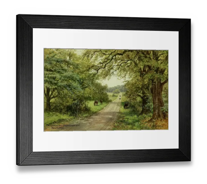Framed Print : Lyndhurst to Bournemouth road, New Forest, Hampshire